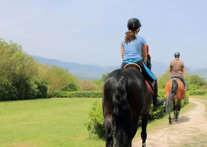 Alba Sporting Отель 3*